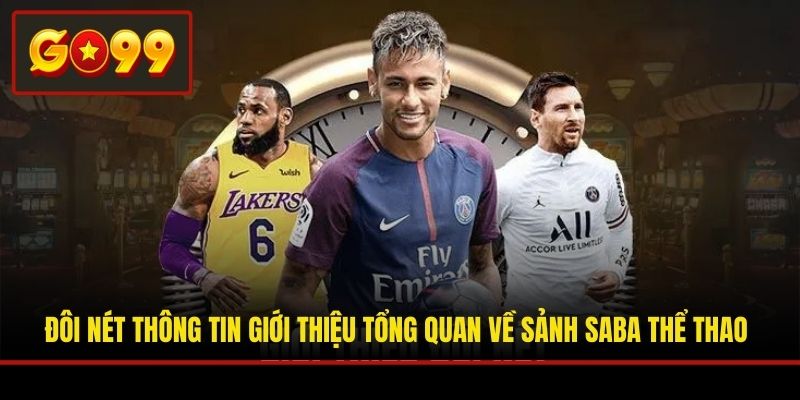 Đôi nét thông tin giới thiệu tổng quan về sảnh Saba thể thao